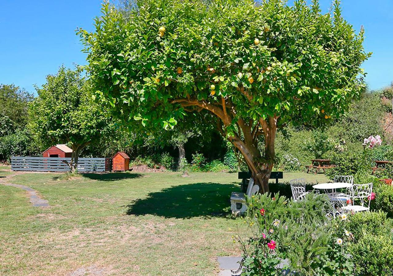 Pension Casa Elena Reinante Exterior photo